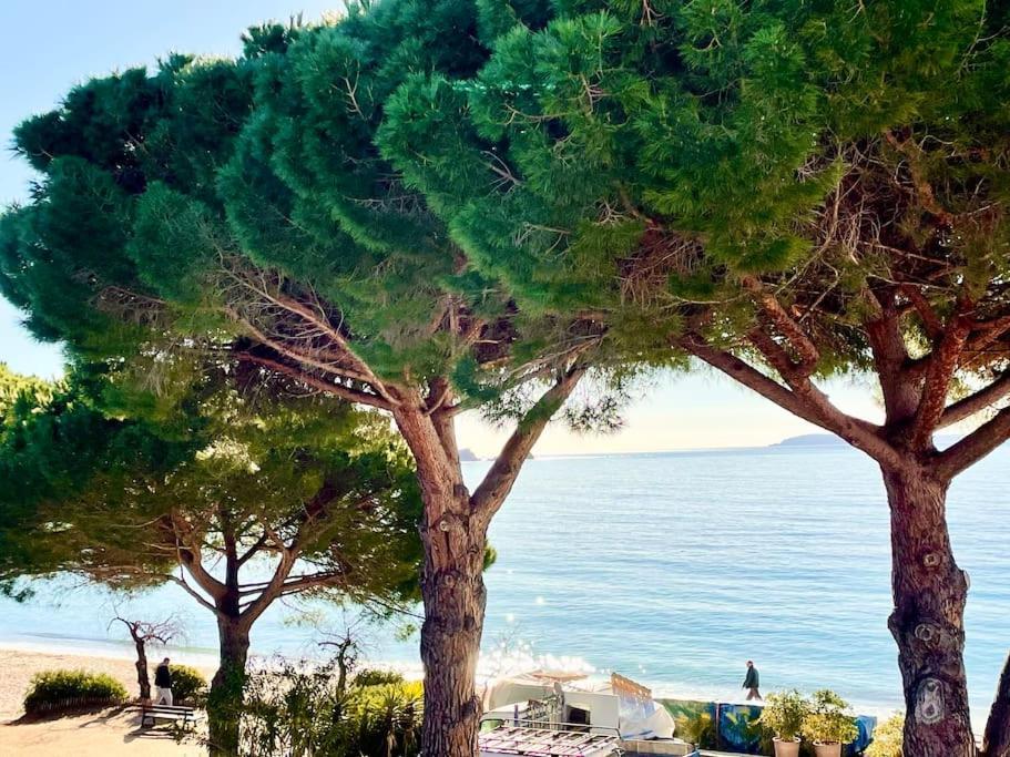 Appartement Les Pieds Dans L'Eau A Cavaliere Le Lavandou Exterior foto